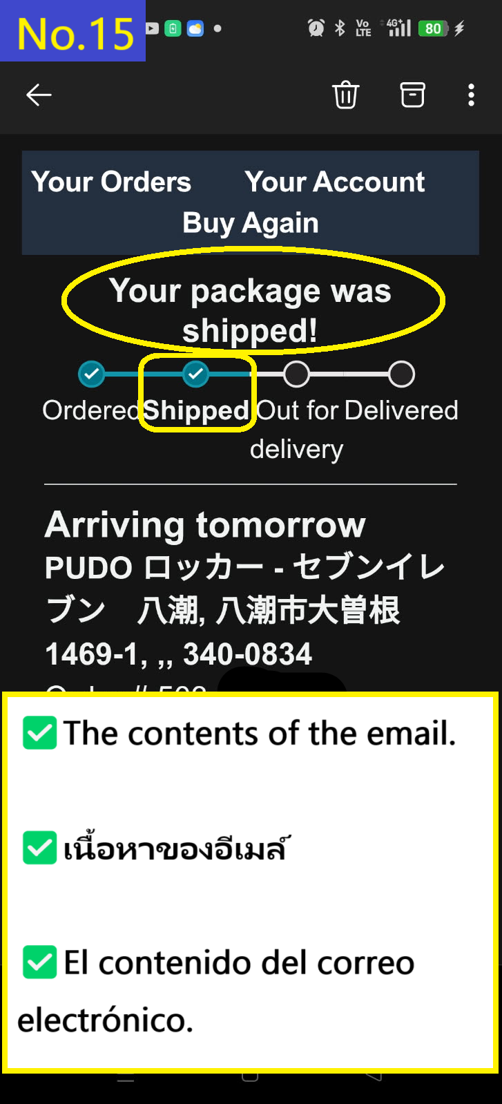 Image description of Contents of the (shipped) email